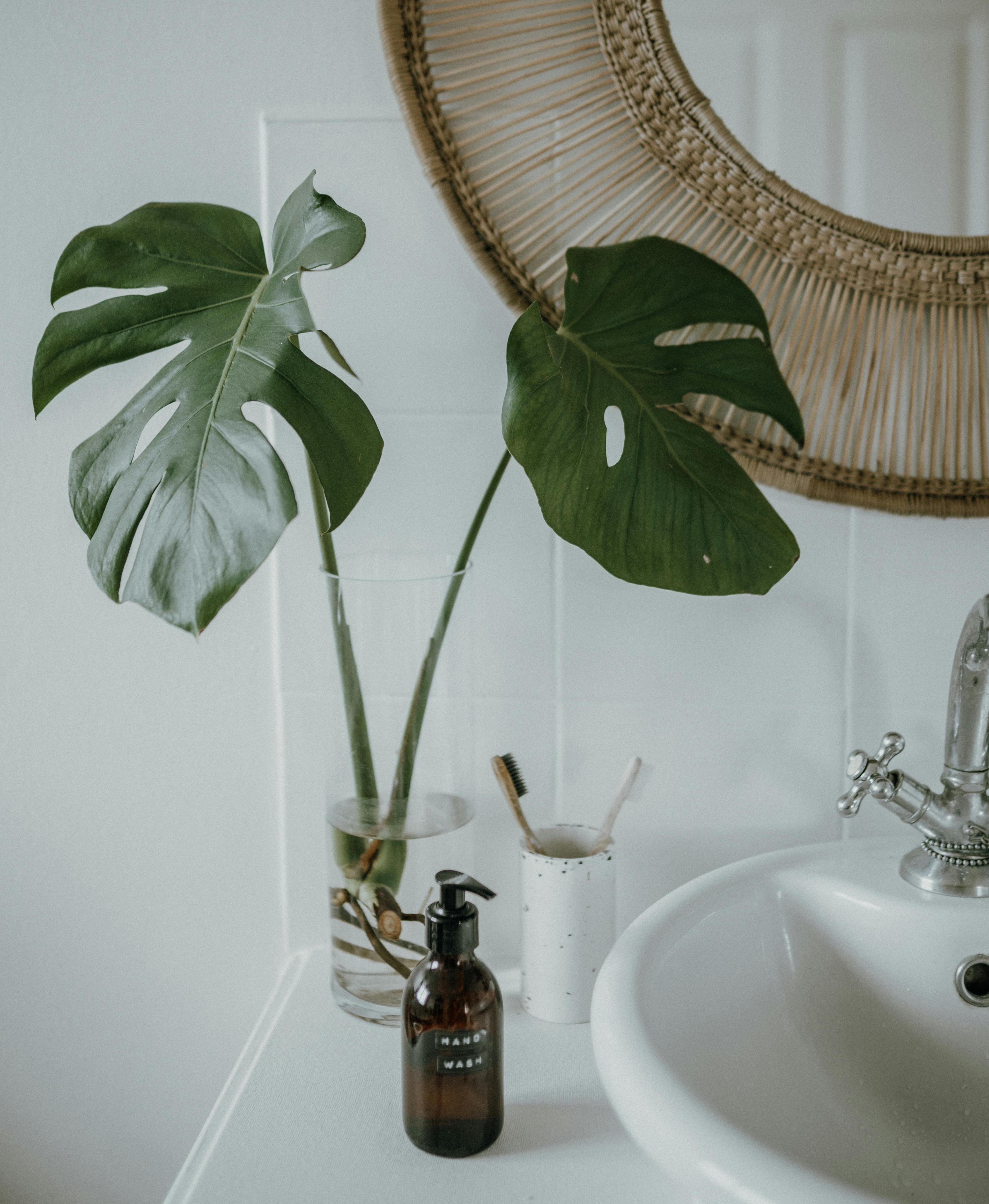 Sådan laver du dit eget miljøvenlige afkalkningsmiddel